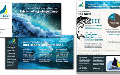 Nordso Non-Profit Brochure Design