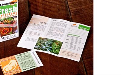 Magic Bean Farm CSA Brochure