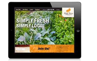 Magic Bean Farm’s New Website