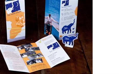 The Ndoto Project Brochure