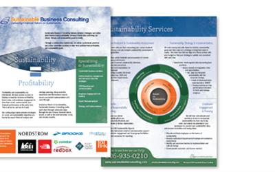 Sustainable Business Consulting Flyer Design and Infographic